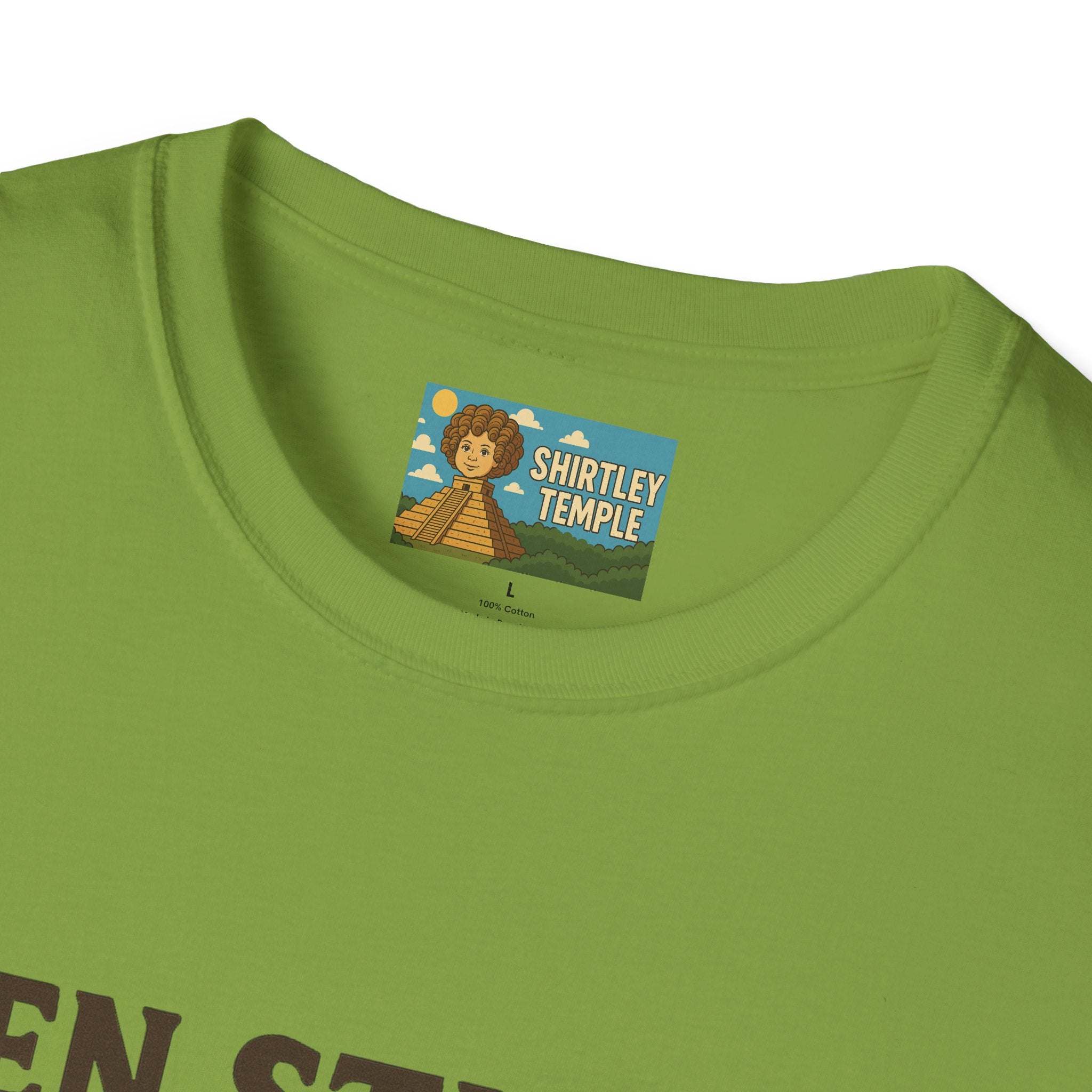 Zen Stiller Softstyle T-Shirt, Ben Tribute Actor Wordplay Tee, Laugh Gift Idea