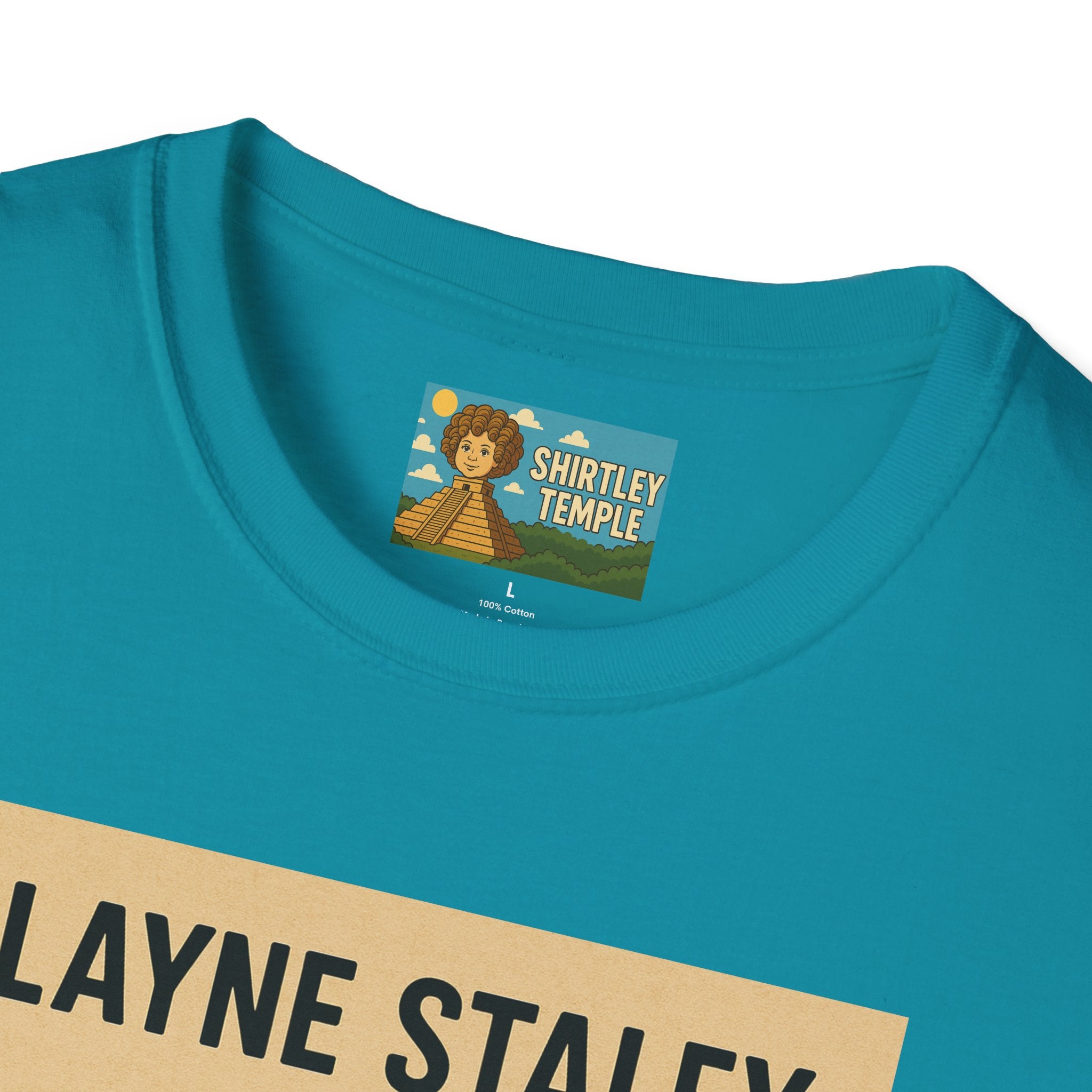 Layne Staley Man in the Box Unisex Softstyle T-Shirt - Alice in Chains Inspired Tee, Music Fan Gift, Grunge Rock Band Top, Funny