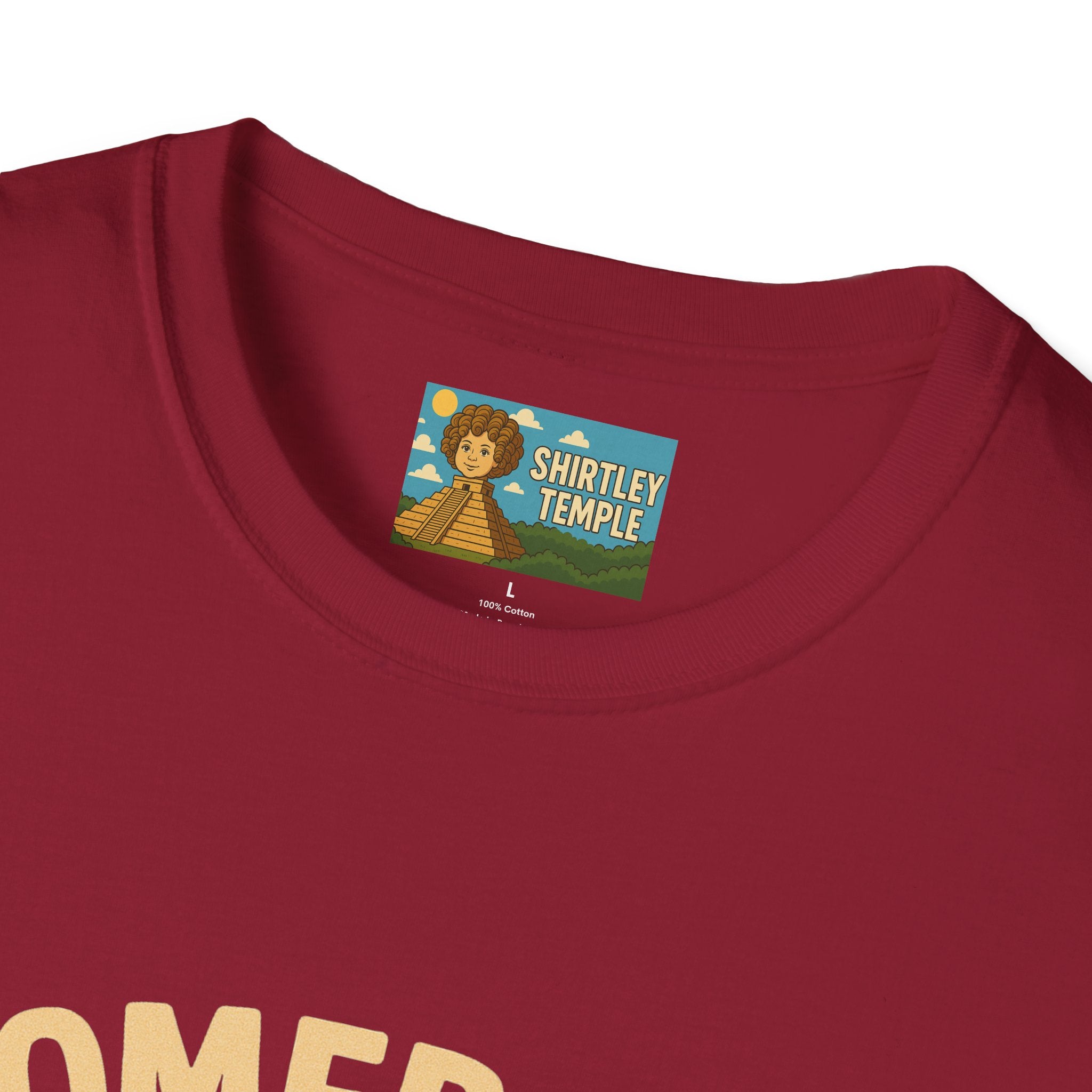 Homebody funny shirt wordplay pun literal home for a body