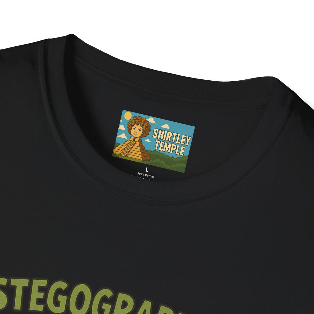 Stegographer Funny Stegosaurus Stenographer Mashup Softstyle Tee, Dino Wordplay Shirt, Unisex Tshirt Gift, Office tee for Dinosaur