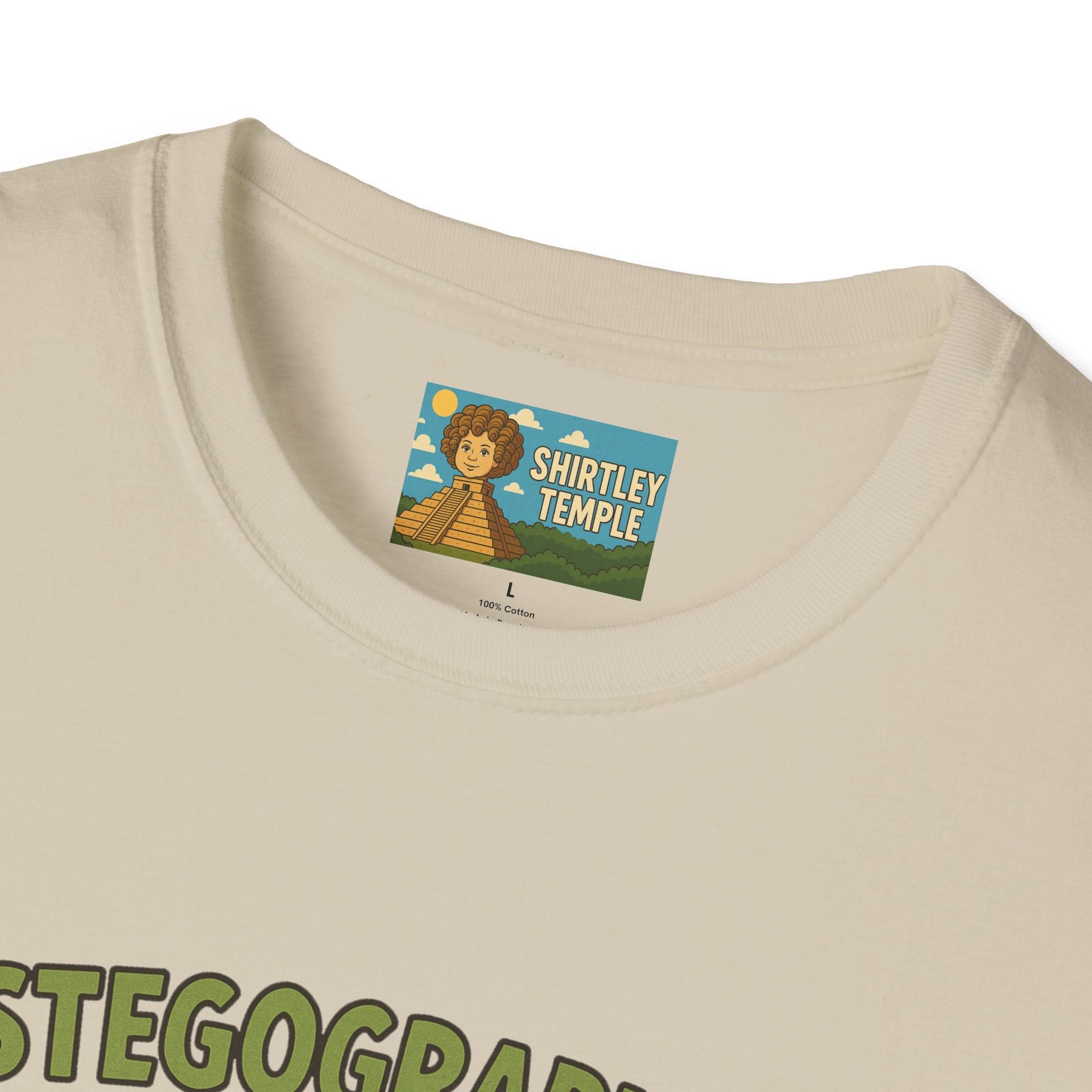 Stegographer Funny Stegosaurus Stenographer Mashup Softstyle Tee, Dino Wordplay Shirt, Unisex Tshirt Gift, Office tee for Dinosaur