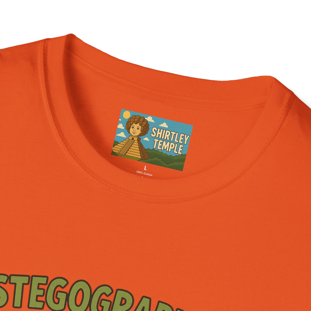 Stegographer Funny Stegosaurus Stenographer Mashup Softstyle Tee, Dino Wordplay Shirt, Unisex Tshirt Gift, Office tee for Dinosaur