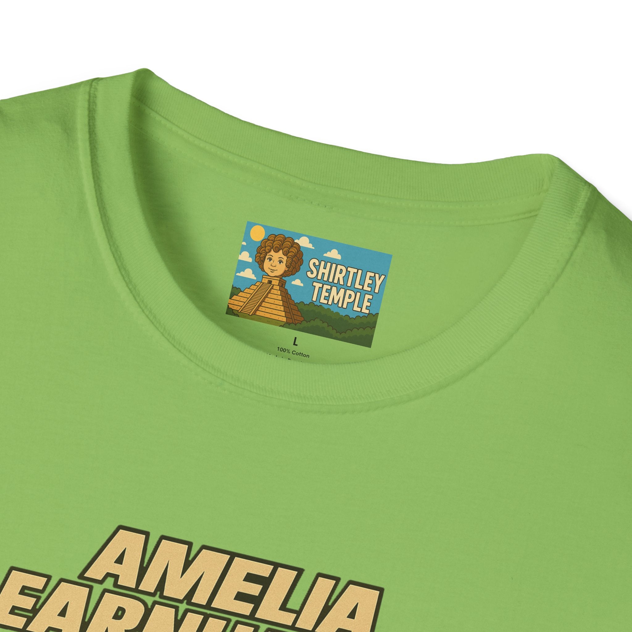 Amelia Earnhardt Funny Mashup Unisex Softstyle T-Shirt, Pilot Pun Tee, Earhart Earnhardt Gift, Aviation Racing Shirt