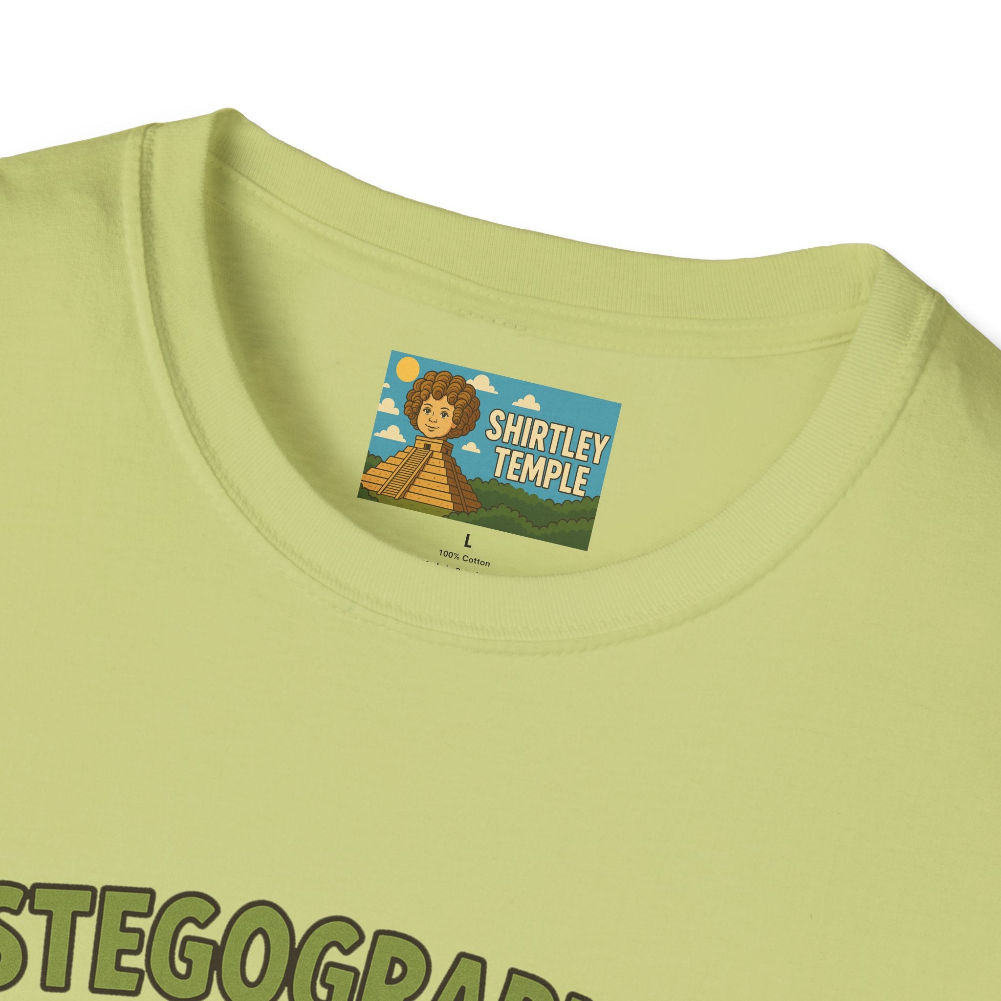 Stegographer Funny Stegosaurus Stenographer Mashup Softstyle Tee, Dino Wordplay Shirt, Unisex Tshirt Gift, Office tee for Dinosaur